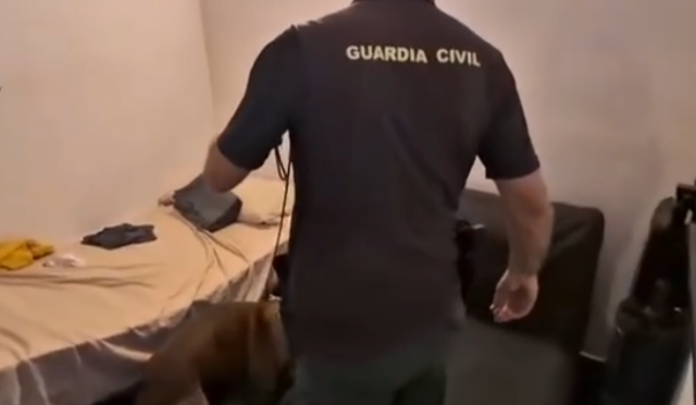 Grabisnin vila luksoze në Spanjë, arrestohen tre shqiptarë