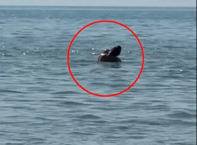 (+18 VIDEO) Çifti filmohet në momente intime në plazhin e Durrësit, pamjet bëhen virale