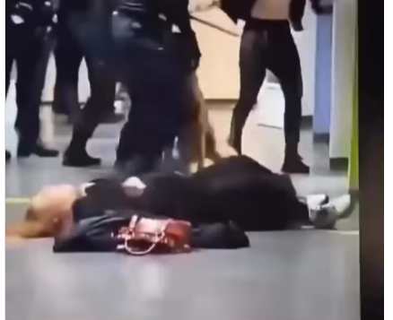 Pamje tronditese nga Holanda – Polici rrezon me goditje ne toke nje grua shtatzene ne spital