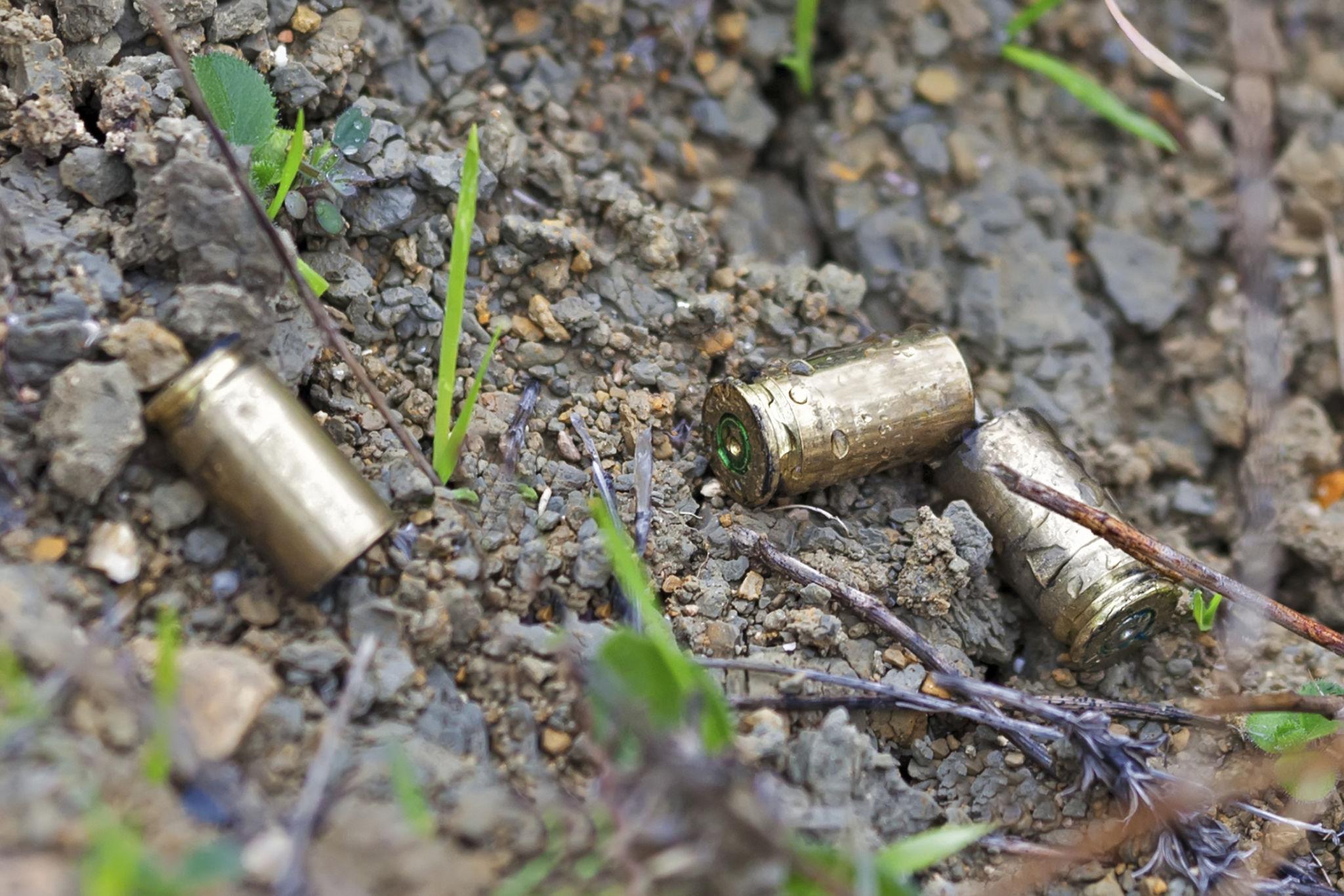 Të shtëna me armë pranë një zone të pyllëzuar në Suharekë, Policia gjen gëzhoja
