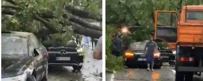 Lisi rrëzohet mbi dy vetura në Brezovicë, shkaktohen dëme materiale nga moti i lig